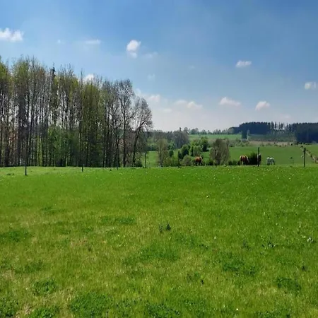Spacious In With Garden